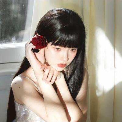不进花瓶的洋甘菊